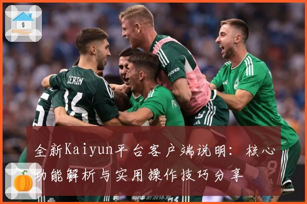 全新Kaiyun平台客户端说明：核心功能解析与实用操作技巧分享