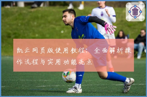 凯云网页版使用教程:全面解析操作流程与实用功能亮点
